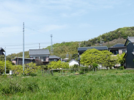 画像38
